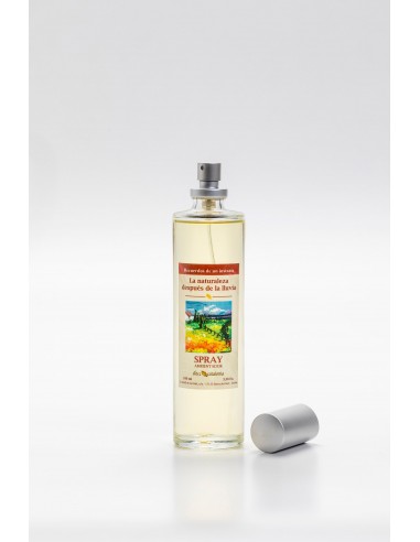 Ambientador vaporitzador 100ml |...